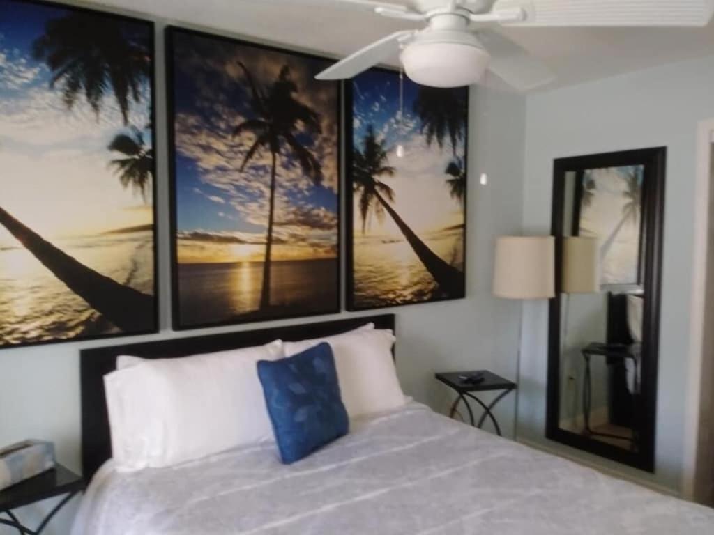 Tampa Bay Beautiful Apartment And Private Jacuzzi ภายนอก รูปภาพ